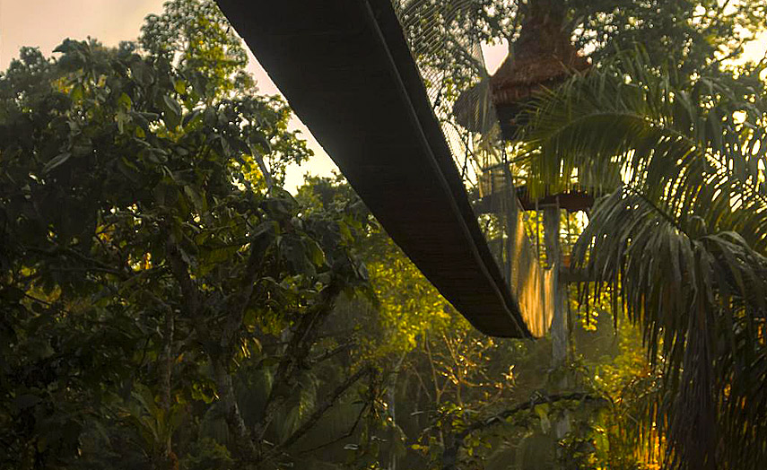 Treehouse Lodge